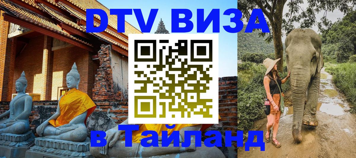 Оформление DTV визы под ключ: стоимость и тарифы, только загранпаспорт - 